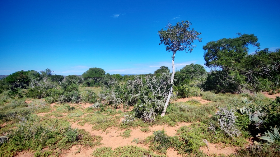 0 Bedroom Property for Sale in Somerset East Rural Eastern Cape